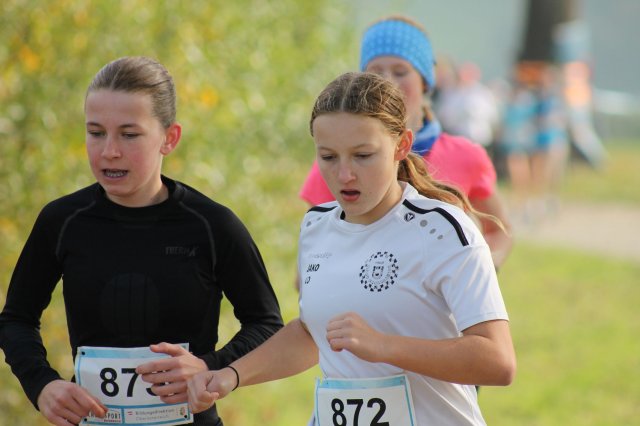 k-2024_crosscountry-land 386